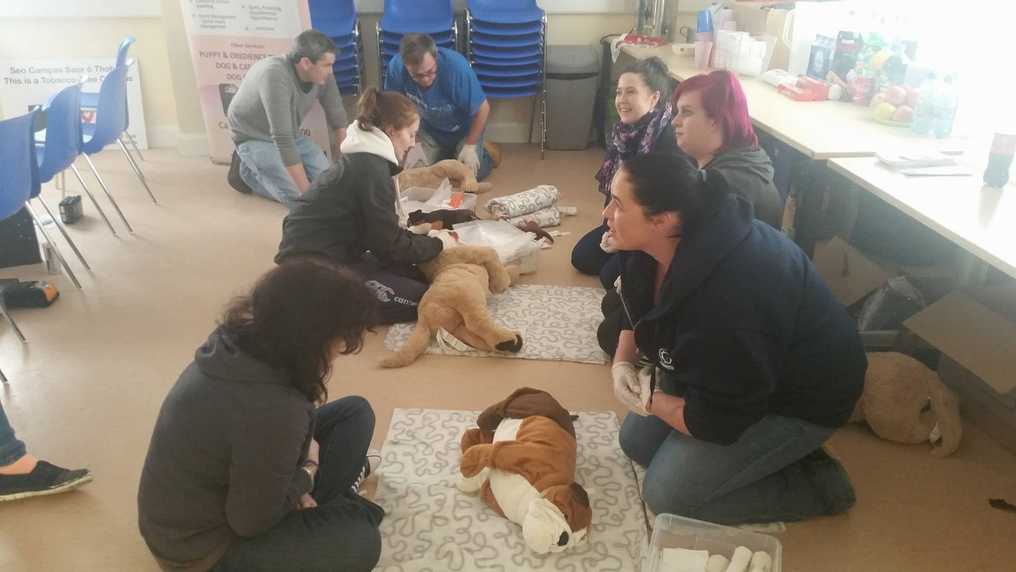 CANINE CPR CORK Sunday 20th October 2024 VENUE: THE VIENNA WOODS HOTEL
