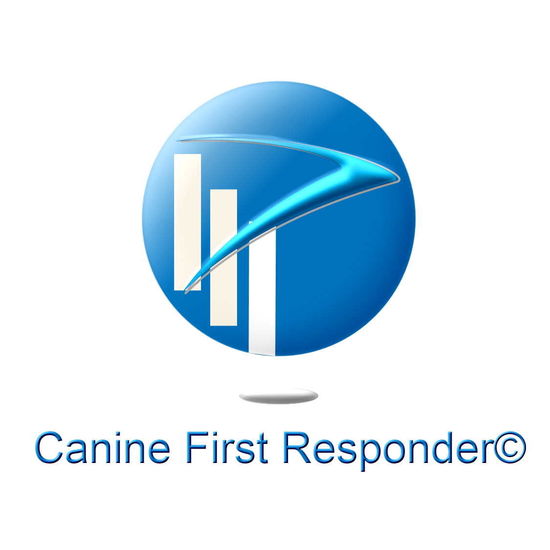 Canine CPR Sunday 6th October 2024 Venue: The Bonnington Hotel Dublin 9