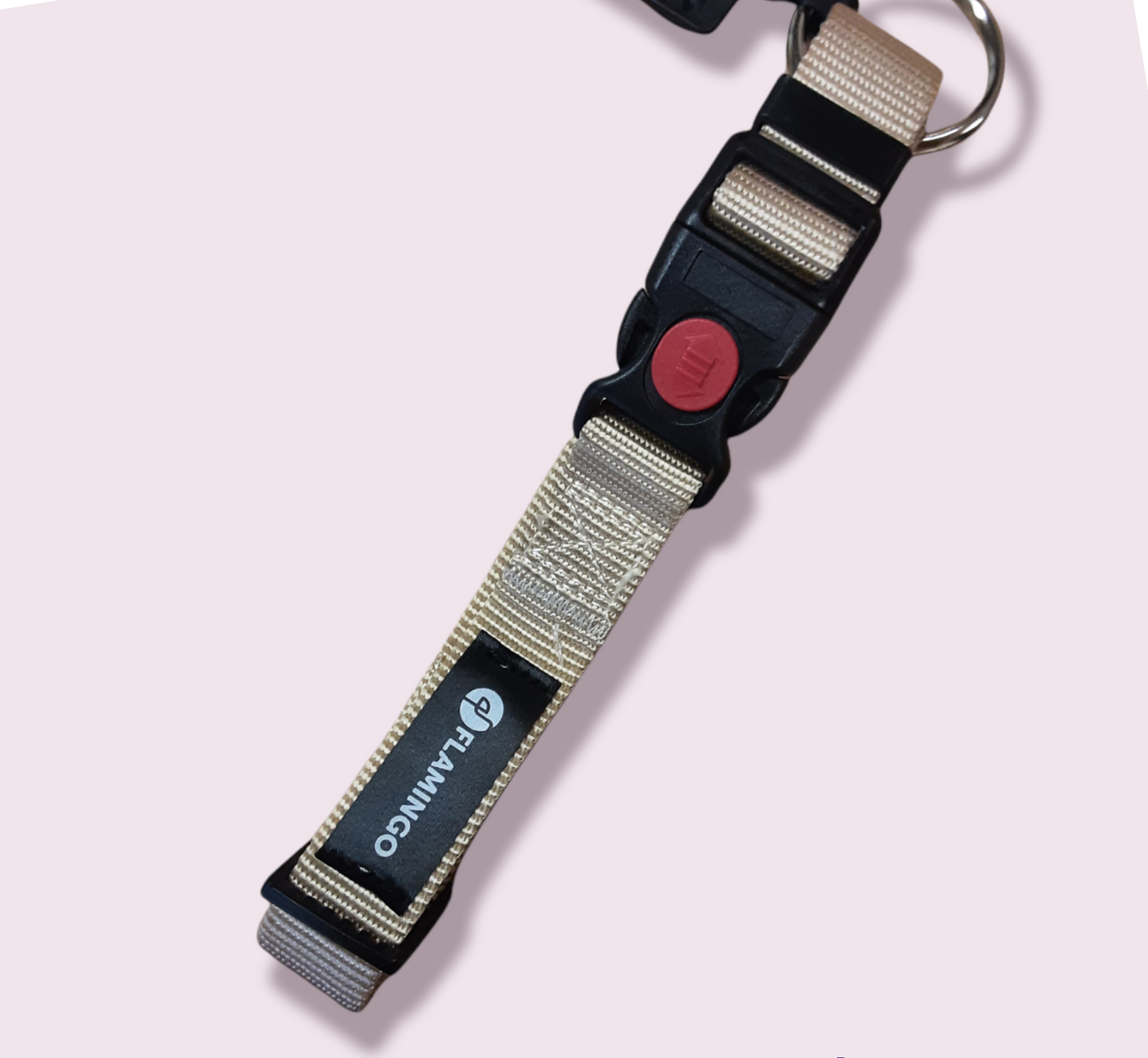 Flamingo Ziggi Collar - Various Sizes & Colours Available