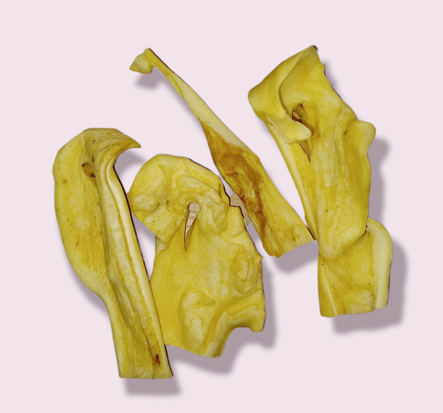Beef Muscle Pieces x 2