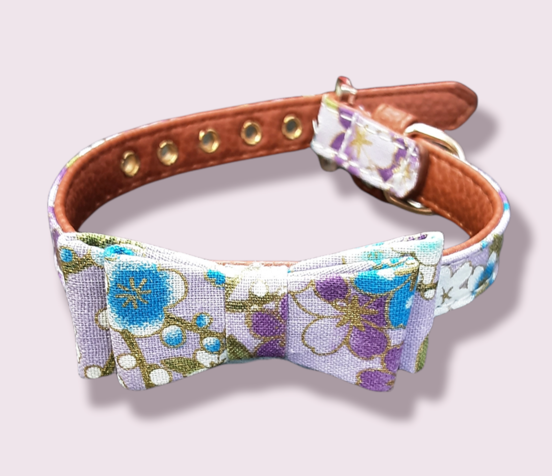 Bow Collar Various Colours 20-25cm