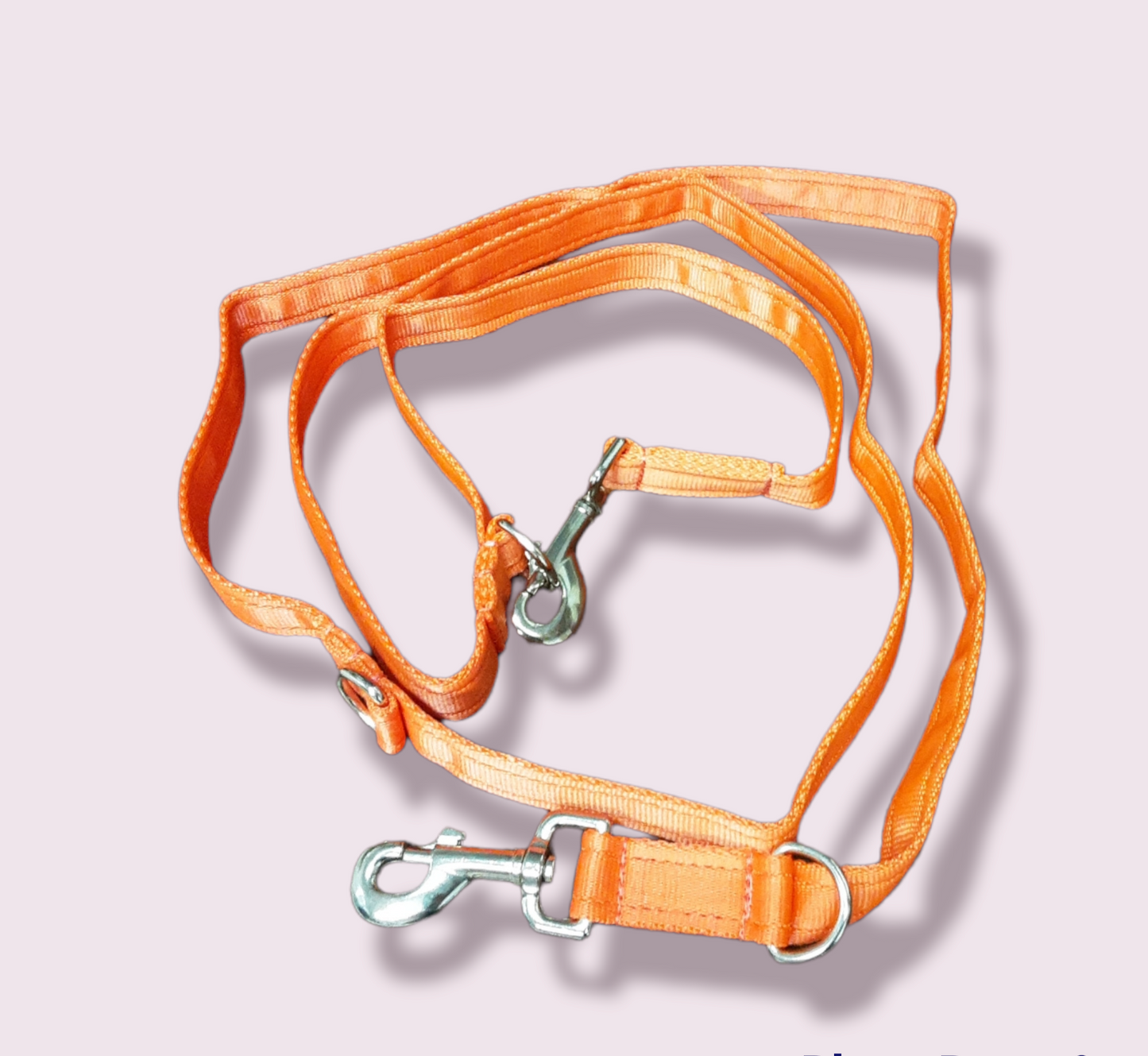 Training Lead Various Colours 2.5Meters