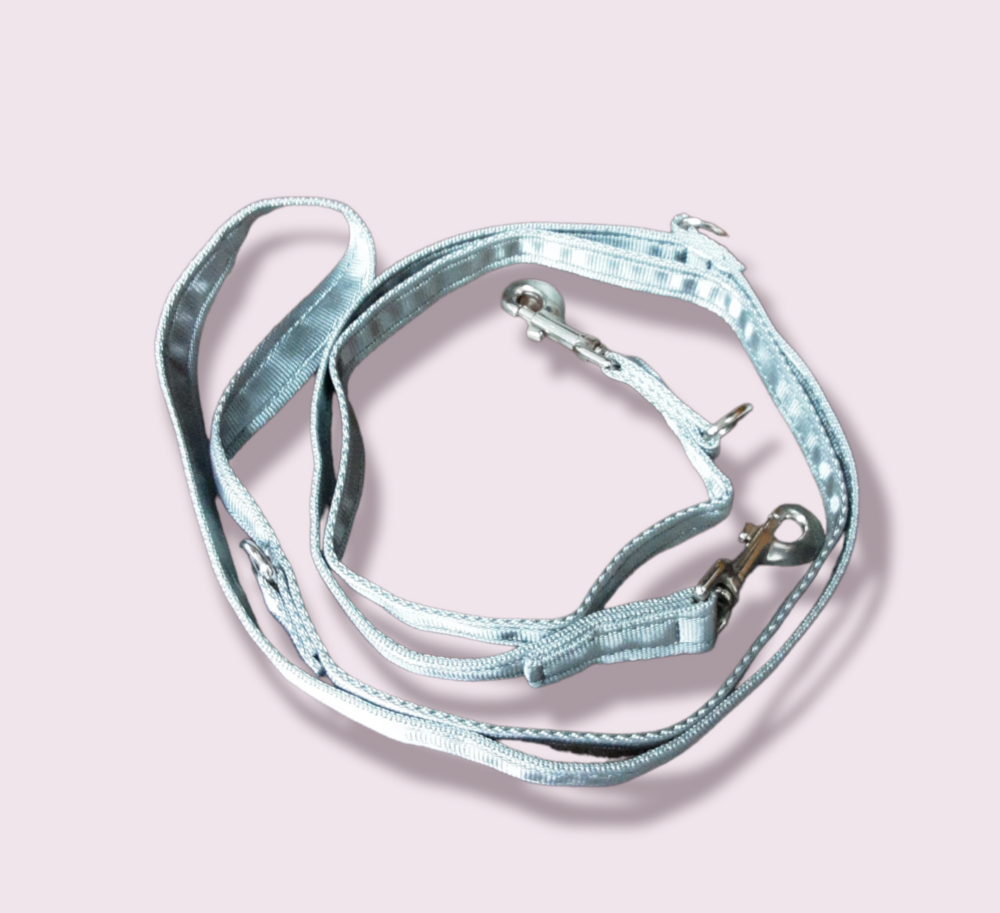 Training Lead Various Colours 2.5Meters