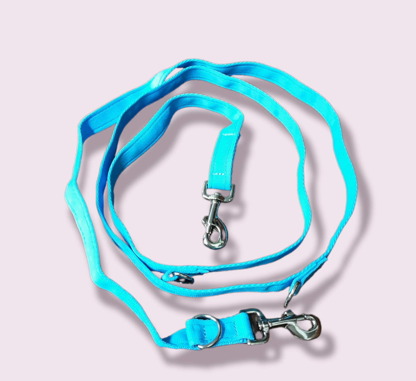 Training Lead Various Colours 2.5Meters
