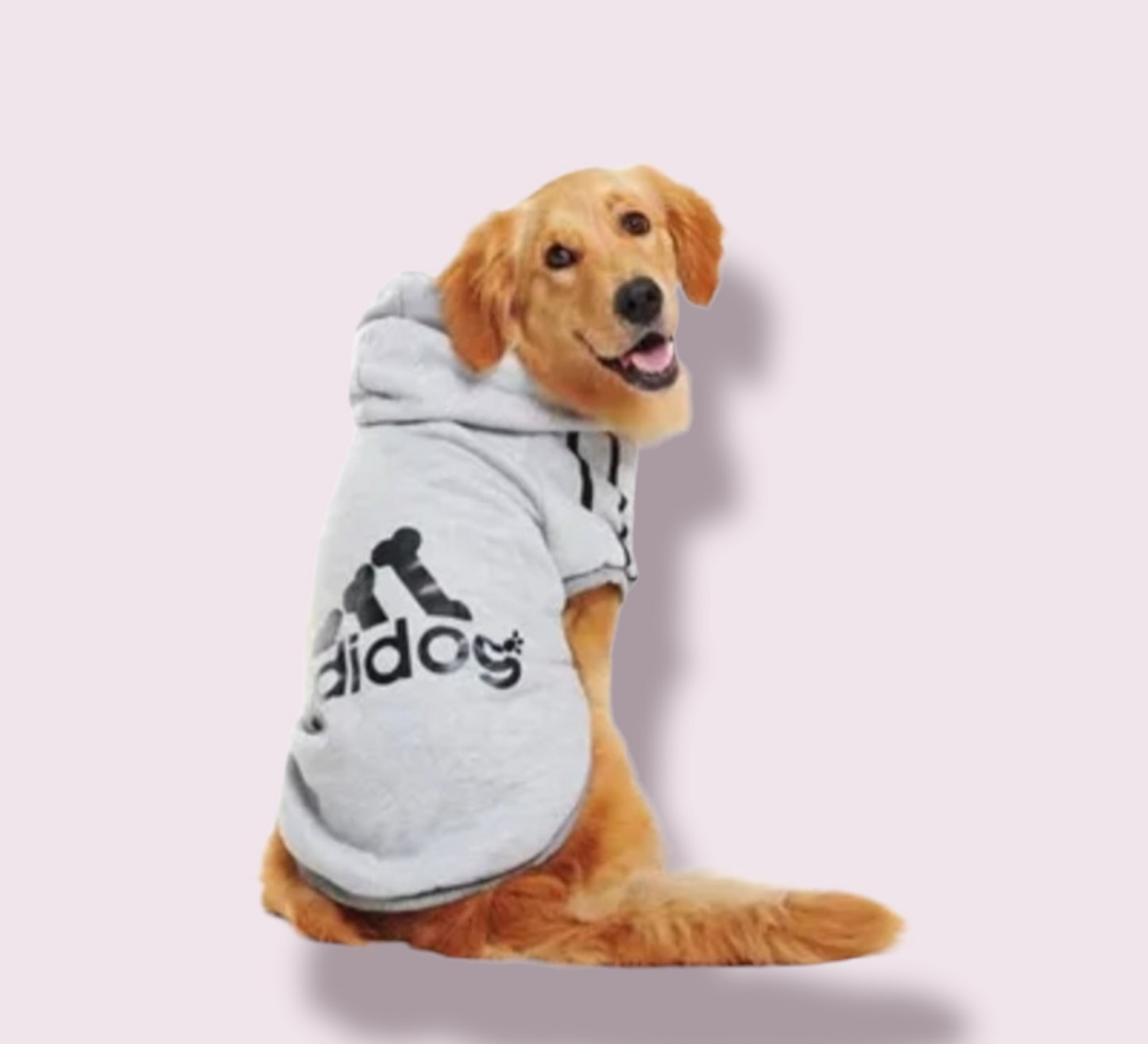 Golden Dog in Grey 9xl 83cm Adidog Hoodie