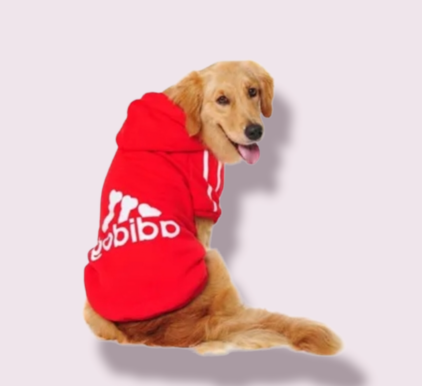 Golden Dog in Red 8xl 73cm Adidog Hoodie