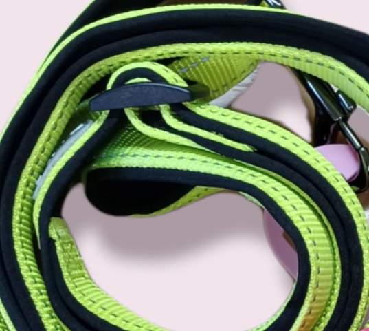 Panda Neon Lead 30mm x 200cm - Various Colours Available