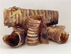 beef trachea loose