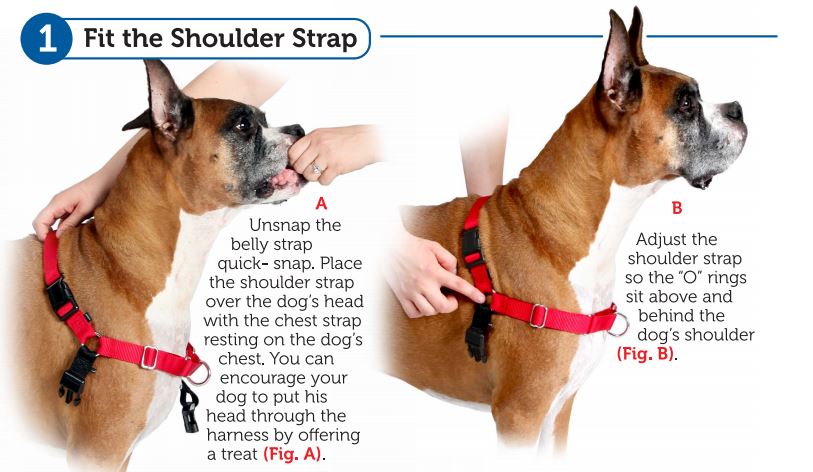 Easy Walk Harnesses Black - Various Sizes Available