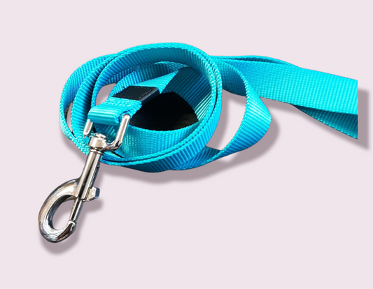 Ziggi Turquoise 130cm Lead