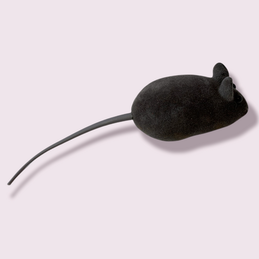 Squeeky Toy Mouse