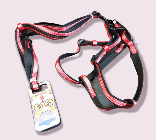 Reflective Step In Harness & Lead Set Blue S