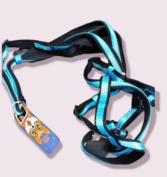 Reflective Step In Harness & Lead Set Blue S