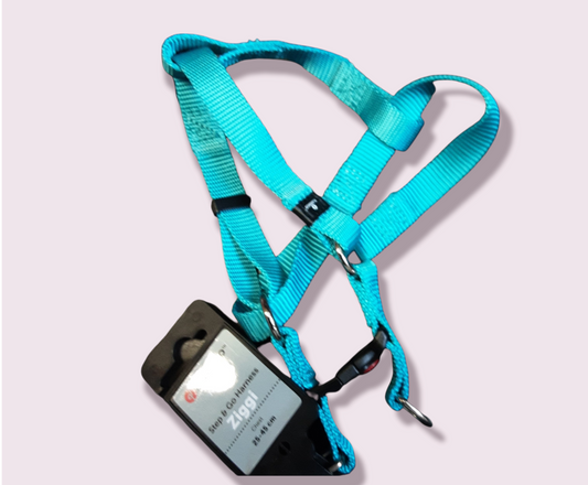 Step & Go Harness Turquoise 25-45cm