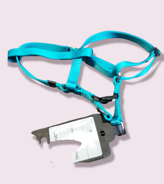 Step & Go Harness Turquoise 20-35cm