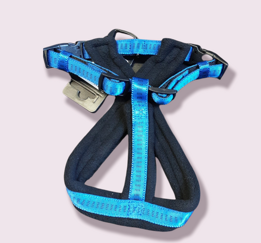 Nobby Harness Blue size XS-S