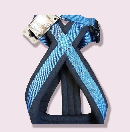 Nobby Harness Blue size  S-M