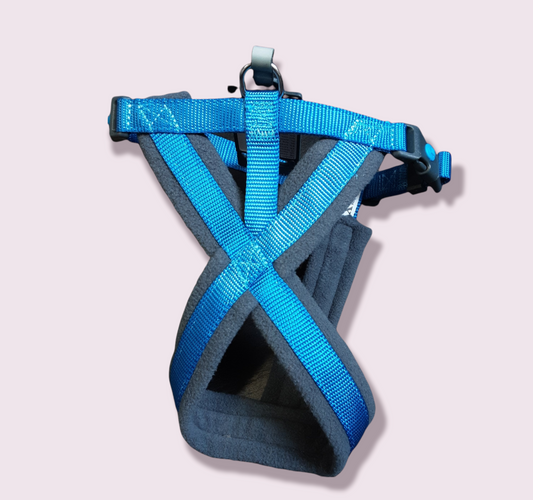 Smart Hunter Harness Light Blue XS-S