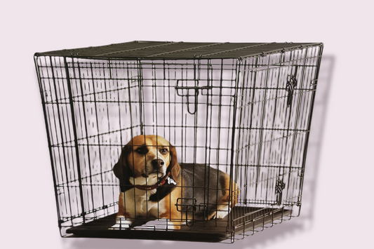 Savic Dog Crate - Large