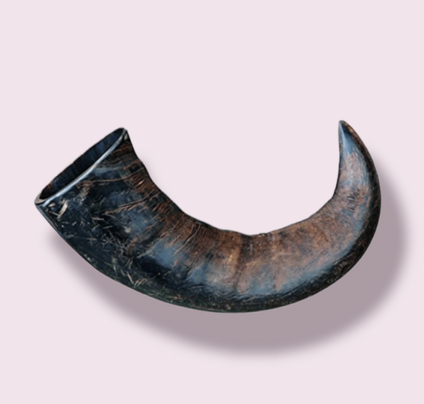 Natural Buffalo Horn