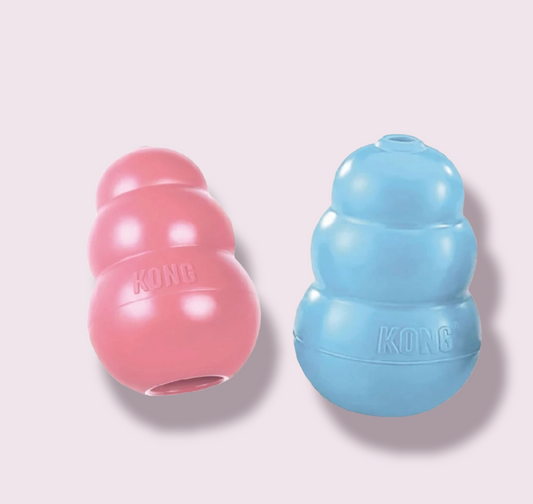 Kong Puppy Blue&Pink - Various Sizes Available