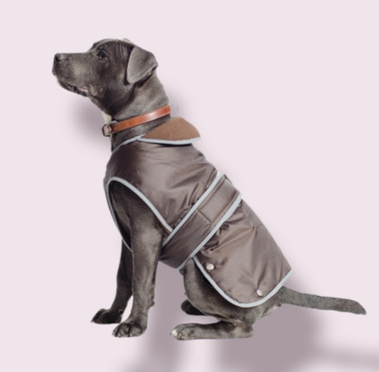Grey Dog in Brown Coat with Brown Fleece Lining Medium 40cm
