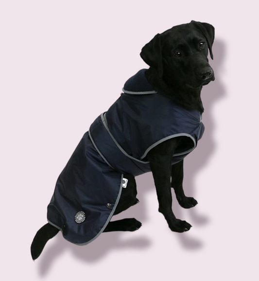 Black Dog in Navy Coat with Navy Fleece Lining Small 30cm