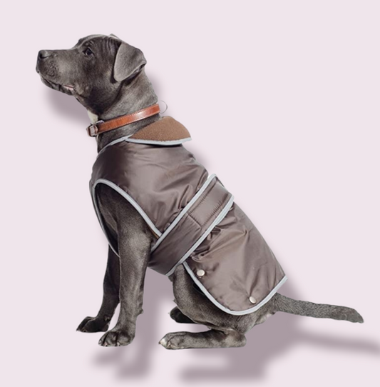Grey Dog in Brown Coat with Brown Fleece Lining Small 30cm