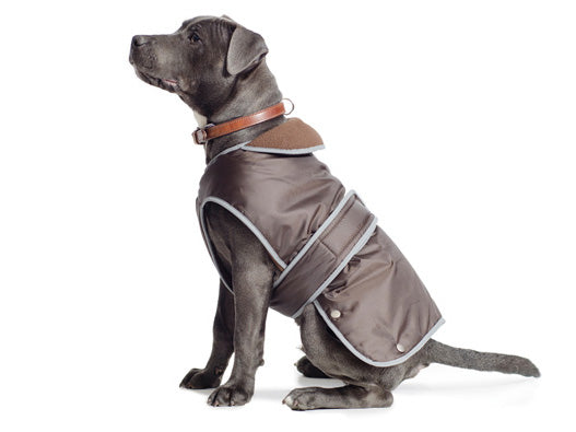 Grey Dog in Brown coat with Brown Fleece Lining Large 50cm