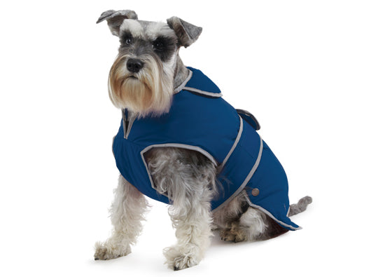Grey Dog in Navy Coat with Navy Fleece Lining 