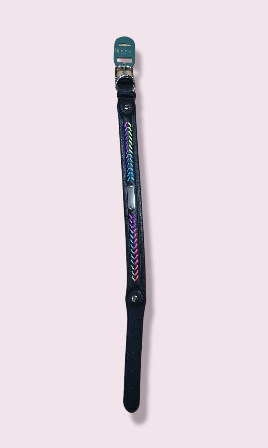 Neon Leather Collar - Various Sizes Available
