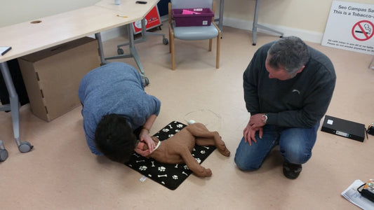 Canine CPR Course Sunday 21st April 2024- Online Full Course